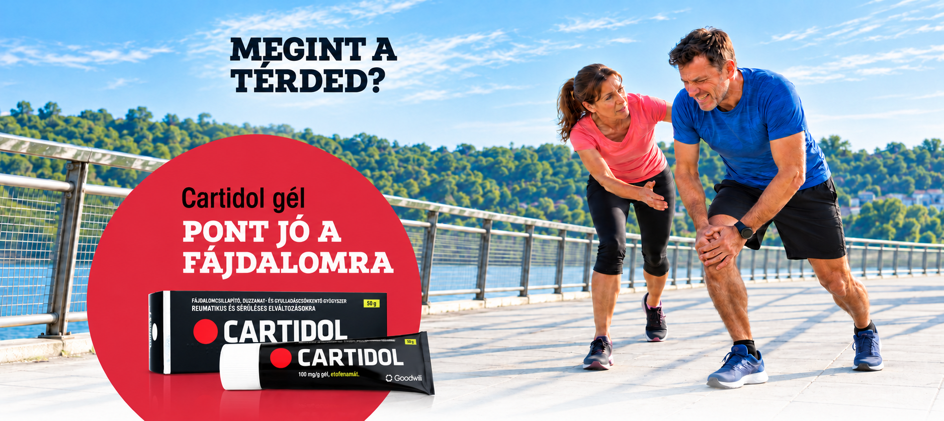 Cartidol gyulladáscsökkentő és fájdalomcsillapító gél - Pont jó a fájdalomra